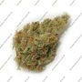 Big Buddha Seeds Cheese Auto Grow Weed Cheap For Sale Discounted Lowest Price Online