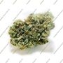 Expert Seeds Gorilla Lilly Grow Weed Cheap For Sale Discounted Lowest Price Online