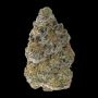 Advanced Seeds Permanent Marker Weed Seeds Smoke Buds Ganja Skunk Dope Pot Images Pics Nuggets