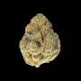 Advanced Seeds Garlicane Weed Seeds Smoke Buds Ganja Skunk Dope Pot Images Pics Nuggets