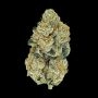 Auto Seeds Bruce Banner Auto Weed Seeds Smoke Buds Ganja Skunk Dope Pot Images Pics Nuggets