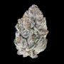 Auto Seeds Gorilla Cookies Auto Weed Seeds Smoke Buds Ganja Skunk Dope Pot Images Pics Nuggets