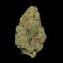 Auto Seeds Pineapple Express Auto Weed Seeds Smoke Buds Ganja Skunk Dope Pot Images Pics Nuggets