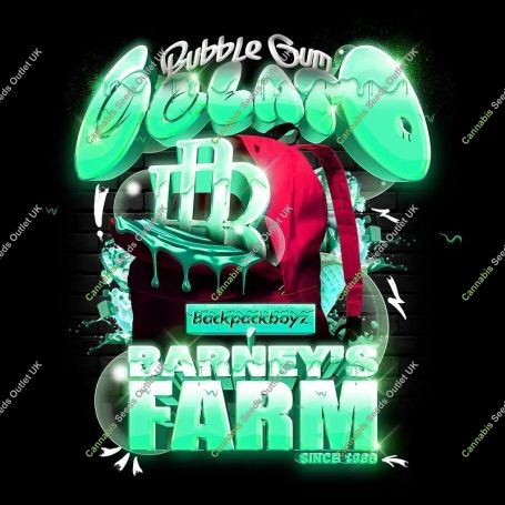 Bubblegum Gelato Marijuana Strain by Barneys Farm For Sale Online at Cannabis Seeds Outlet