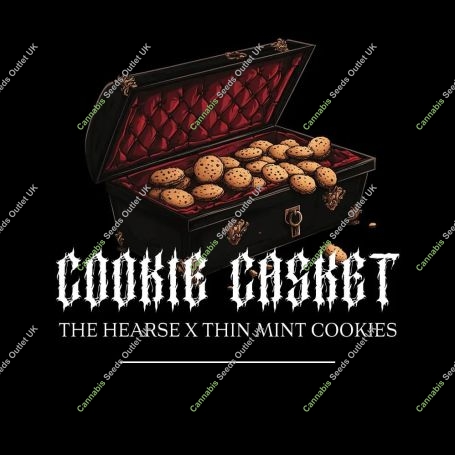 Cookie Casket Marijuana Strain by Barneys Farm For Sale Online at Cannabis Seeds Outlet