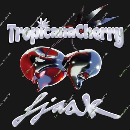 Tropicana Cherry Marijuana Strain by Barneys Farm For Sale Online at Cannabis Seeds Outlet