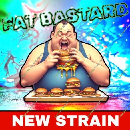 Fat Bastard Marijuana Strain by BSB Genetics For Sale Online at Cannabis Seeds Outlet