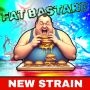 Fat Bastard Marijuana Strain by BSB Genetics For Sale Online at Cannabis Seeds Outlet