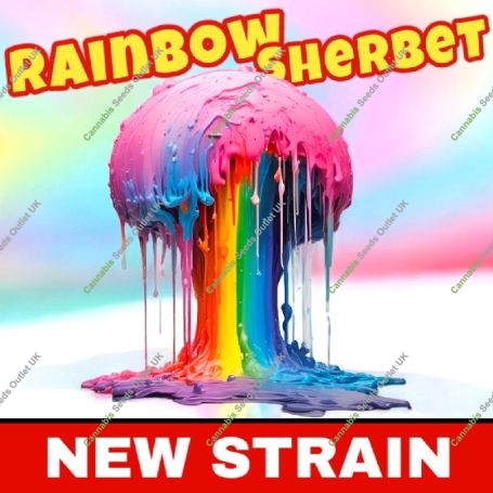 Rainbow Sherbet Marijuana Strain by BSB Genetics For Sale Online at Cannabis Seeds Outlet