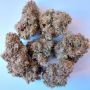 Ace Seeds African Gas Weed Seeds Smoke Buds Ganja Skunk Dope Pot Images Pics Nuggets