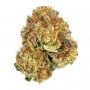 Humboldt Seed Company Kendrx Wedding Tree Smoke Buds Weed Ganja Skunk Dope Pot Images Pics Nuggets