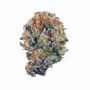 Pure Instinto Whipped Runtz Auto Weed Seeds Smoke Buds Ganja Skunk Dope Pot Images Pics Nuggets