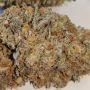 Sagarmatha Seeds Western Winds Smoke Buds Weed Ganja Skunk Dope Pot Images Pics Nuggets