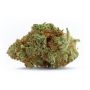 White Label Power Plant Auto Smoke Buds Weed Ganja Skunk Dope Pot Images Pics Nuggets