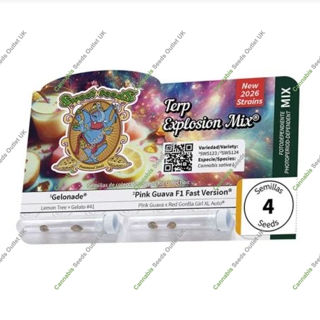 Terp Explosion Mix Marijuana Strain by Sweet Seeds For Sale Online at Cannabis Seeds Outlet