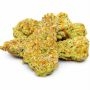 Orange Biscuit Original Sensible Weed Seeds Smoke Buds Ganja Skunk Dope Pot Images Pics Nuggets