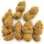 Magic Carrot Marijuana Strain by Ace Seeds For Sale Online at Cannabis Seeds Outlet