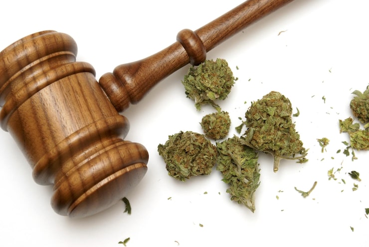 Cannabis Laws UK