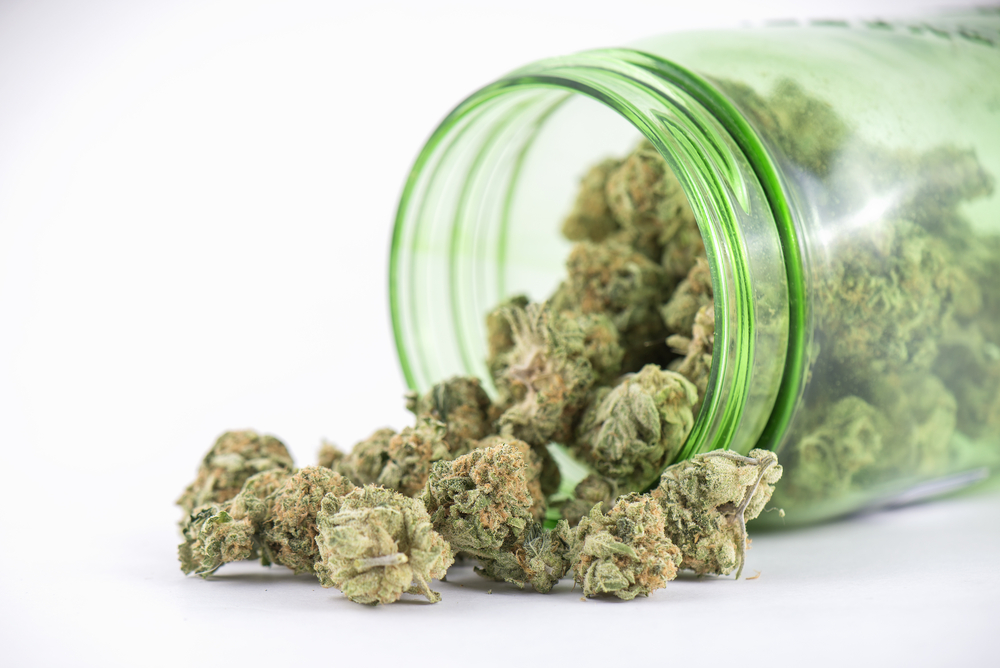 Marijuana Buds in a Jar