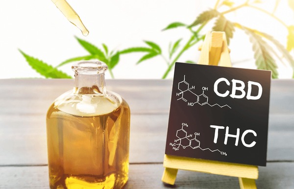 THC vs CBD