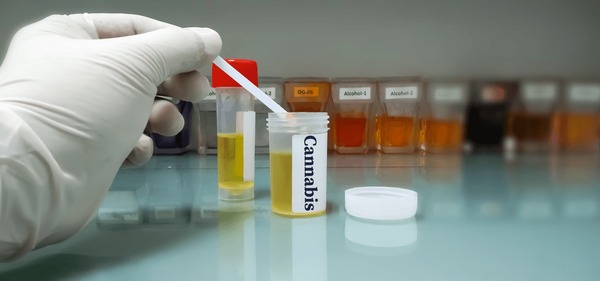 Cannabis Trace Test From Bodily Fluids