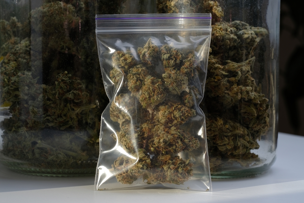 Cannabis Storage at Home
