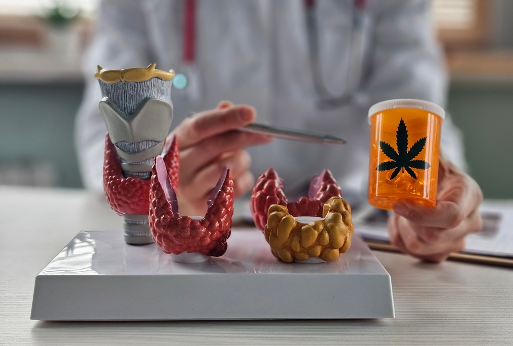 Impact of Cannabinoids on Human Hormones