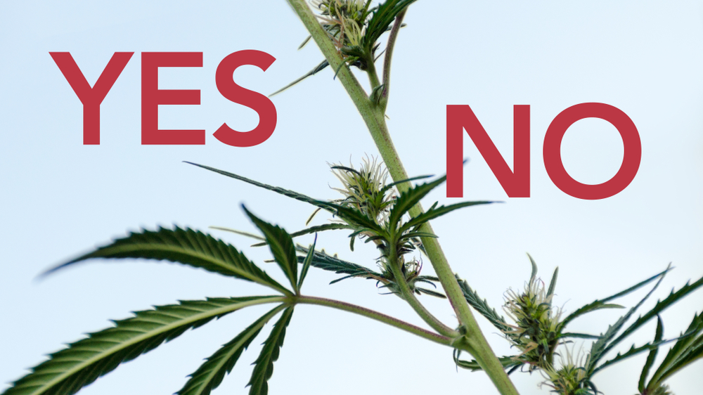 Cannabis Dos and Dont's