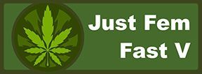 Just Feminized Fast Version Cannabis Seeds For Sale