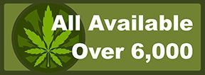 Buy Weed Seeds in UK | Buy From Over 6500 Weed Options on Sale