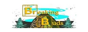 Buy Marijuana Breeder Breaking Buds Strains Sale Online