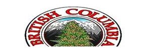 Buy Marijuana Breeder British Columbia Strains Online