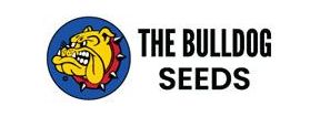 Buy Marijuana Breeder Bulldog Seeds Strains Sale Online