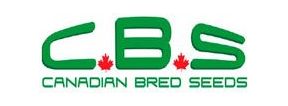 Buy Marijuana Breeder Canadian Bred Seeds Strains