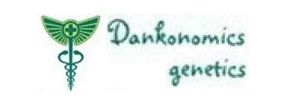 Buy Marijuana Breeder Dankonomics Strains Sale Online