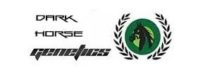 Buy Marijuana Breeder Dark Horse Genetics Strains