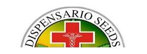 Buy Marijuana Breeder Dispensario Seeds Strains Online