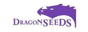 Buy Marijuana Breeder Dragon Seeds Strains Sale Online