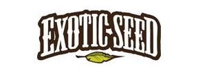Buy Marijuana Breeder Exotic Seeds Strains Sale Online