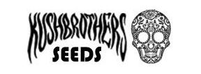 Buy Marijuana Breeder Kush Brothers Strains Sale Online