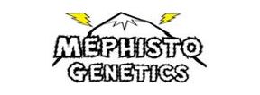 Buy Mephisto Genetics Strains | Best Mephisto Genetics Strains
