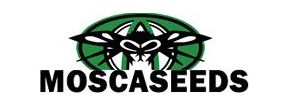 Buy Marijuana Breeder Mosca Seeds Strains Sale Online
