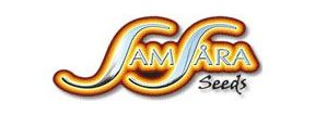 Buy Marijuana Breeder Samsara Strains For Sale Online