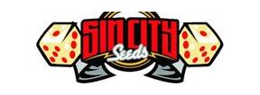 Buy Marijuana Breeder SinCity Seeds Strains Sale Online