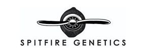 Buy Marijuana Breeder Spitfire Genetics Strains Online