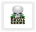 Buy Black Skull marijuana strains for sale at cannabis seeds outlet