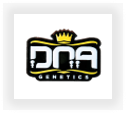 Buy DNA Genetics  marijuana strains for sale at cannabis seeds outlet