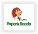 Buy Expert  marijuana strains for sale at cannabis seeds outlet