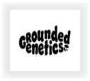 Buy Grounded Genetics  marijuana strains for sale at cannabis seeds outlet
