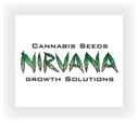 Buy Nirvana  marijuana strains for sale at cannabis seeds outlet